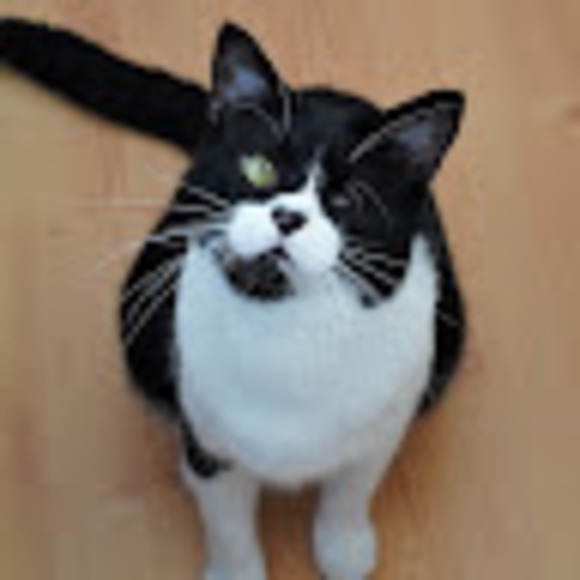 Meet your Posher, Trina - Picture 1 of 1